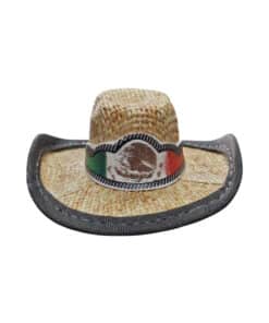 Alternative view of LLAV. SOMBRERO VAQUERO